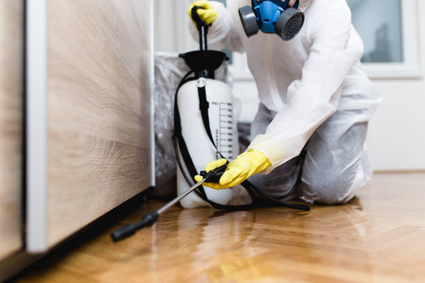Best Best Pest Control Companies  in South Milwaukee, WI