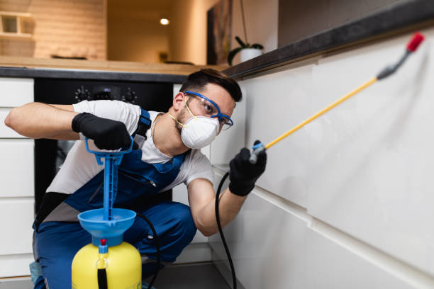 Best Termite Control Services  in South Milwaukee, WI