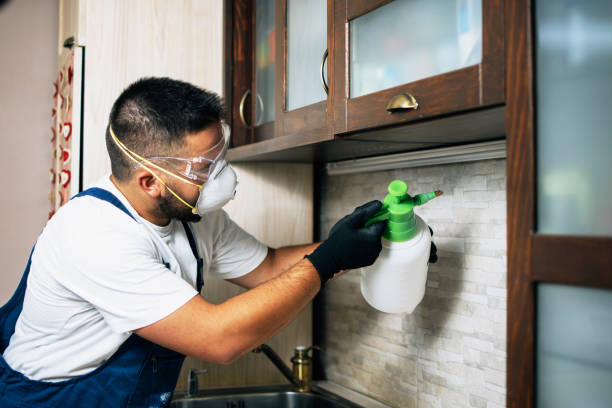 Best Pest Control Near Me  in South Milwaukee, WI