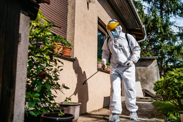 Pest Prevention Services in South Milwaukee, WI