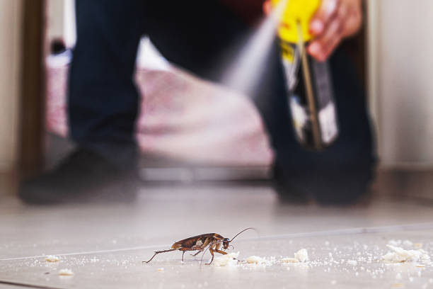 Best Pest Inspection Near Me  in South Milwaukee, WI
