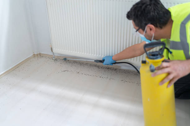 Best Wasp Removal Services  in South Milwaukee, WI