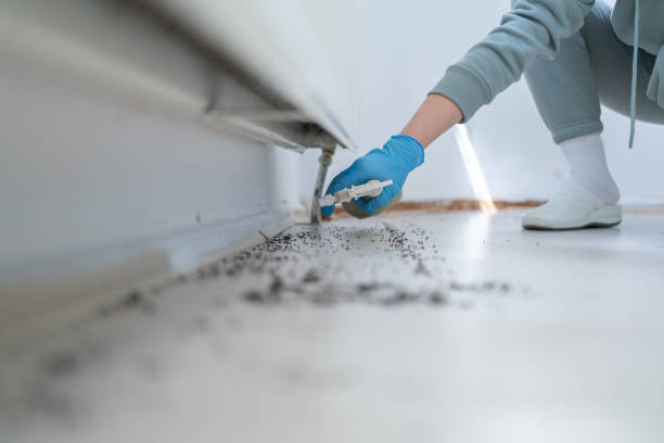 Wildlife Control Services in South Milwaukee, WI