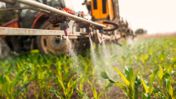 Best Ant Control Services  in South Milwaukee, WI