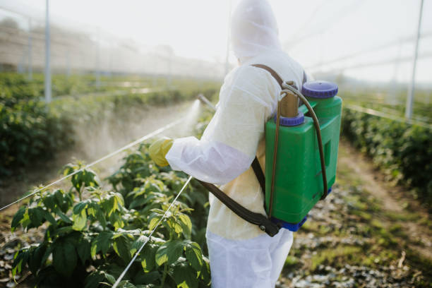 Best Mosquito Control Services  in South Milwaukee, WI